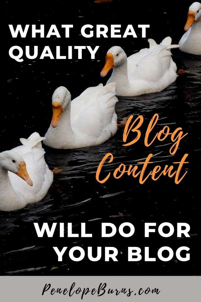 A line of white ducks looking for How To Get Quality Blog Content P2